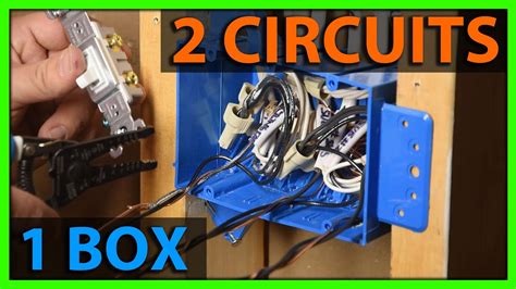 electrical code 2 wires one box|2 circuits in 1 box.